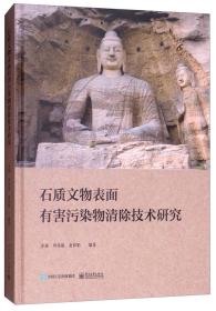 石质文物表面有害污染物清除技术研究