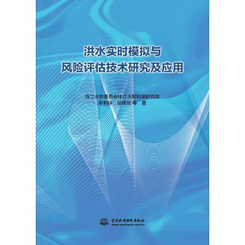 洪水实时模拟与风险评估技术研究及应用