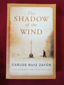 The Shadow of the Wind