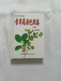 青草药原色图案