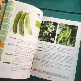 深圳市场蔬菜图谱