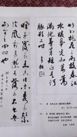 画页（散页印刷品）--书法-草书条幅（王家琰)，行书苏东坡诗(包六科)，宋-姜白石句(俞平伯)581