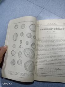 地理学报1962第28卷，第1.2.3.4期