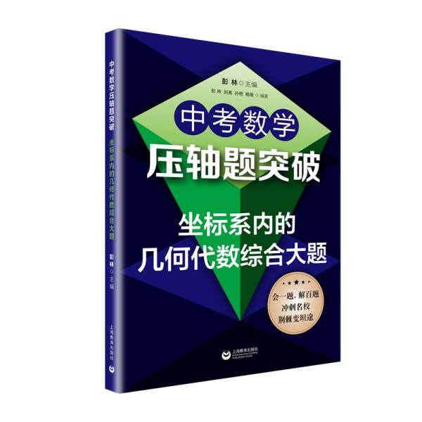 中考数学压轴题突破 坐标系内的几何代数综合大题