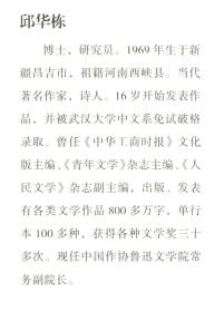 邱华栋文集：从东西到南北