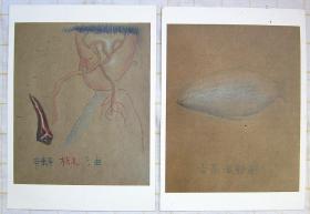 #烹饪# #厨艺# 两件合售：细毛小厨方（卡片2张 尹齐小画）+Cooking for Two（小两口烹饪菜谱 英文原版书）