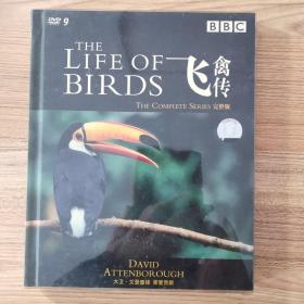 飞禽传（the life of birds）经典纪录片，大卫.艾登堡经典配音