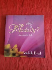 What Is Modesty