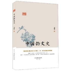 鸿儒国学讲堂:中国韵文史（精装）