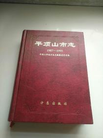 平顶山市志1987～1995