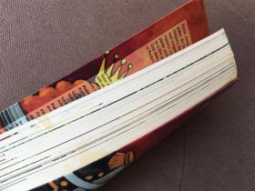 Gelsomino Nel Paese Dei Bugiardi / 假话国历险记（意大利语）