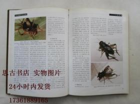 中国斗蟋选养与竞斗鉴赏（16开精装本）