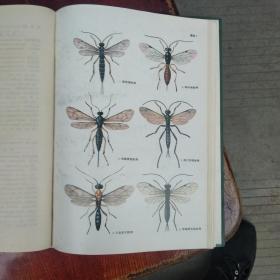 四川农业害虫天敌图册