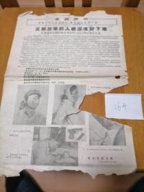 反解放军...8开.保真保老.河北保定1967