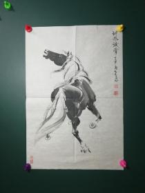 金为 中国著名画马名家  安徽省文史馆研究员，安徽省美术家协会会员，中国马画艺术研究会会员