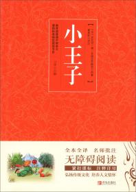 全注全译名师批注无障碍阅读：小王子 （中学）