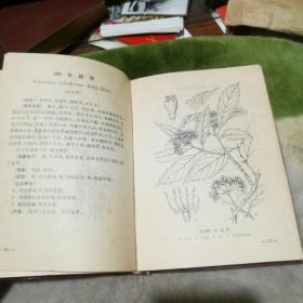 昆明民间常用草药，70年1版1印