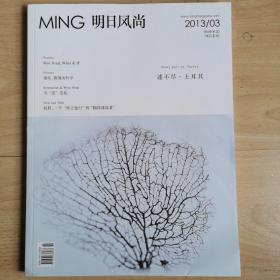 明日风尚2013年3月 述不尽.土耳其