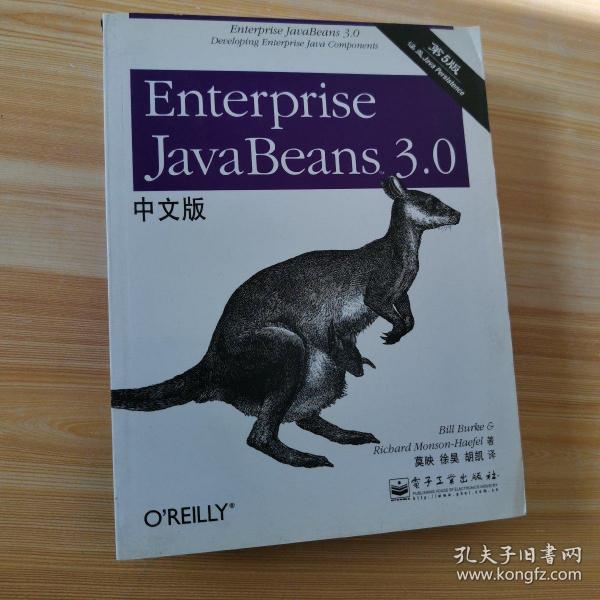 Enterprise JavaBeans 3.0中文版