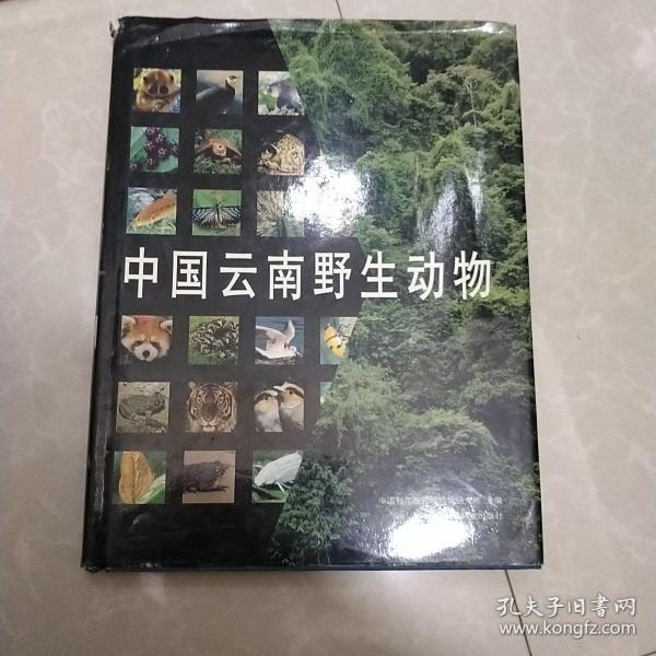 中国云南野生动物