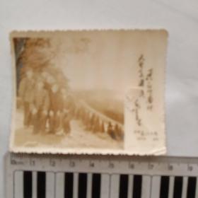 老照片81——1972年武汉长江大桥留影（毛主席诗词手书）