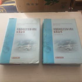 中国县域经济发展与理论实务全书（上下册）精装