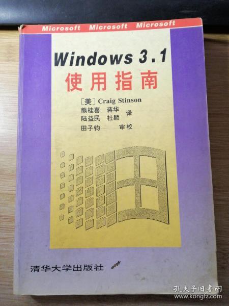 Windows 3.1使用指南