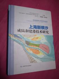 上海新横沙成陆和建港技术研究