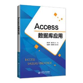 正版二手 Access数据库应用