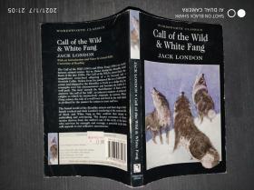 call of the wild ＆ white fang