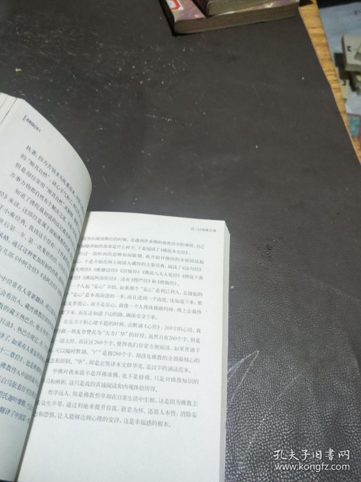向庸文集八 以珠峰为禅