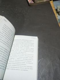 向庸文集八 以珠峰为禅