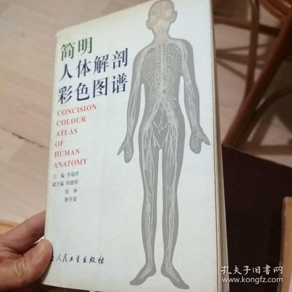 简明人体解剖彩色图谱