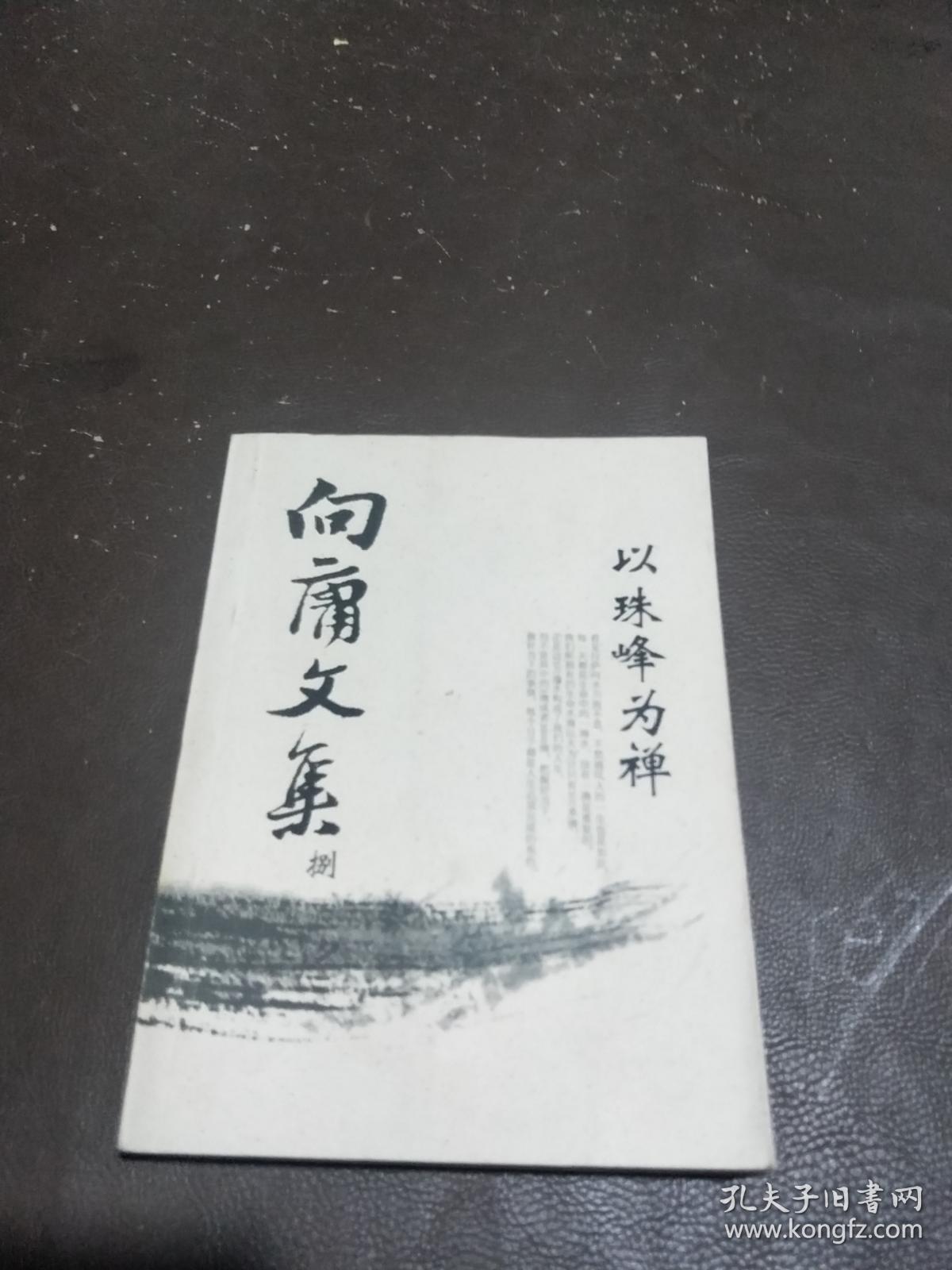 向庸文集八 以珠峰为禅