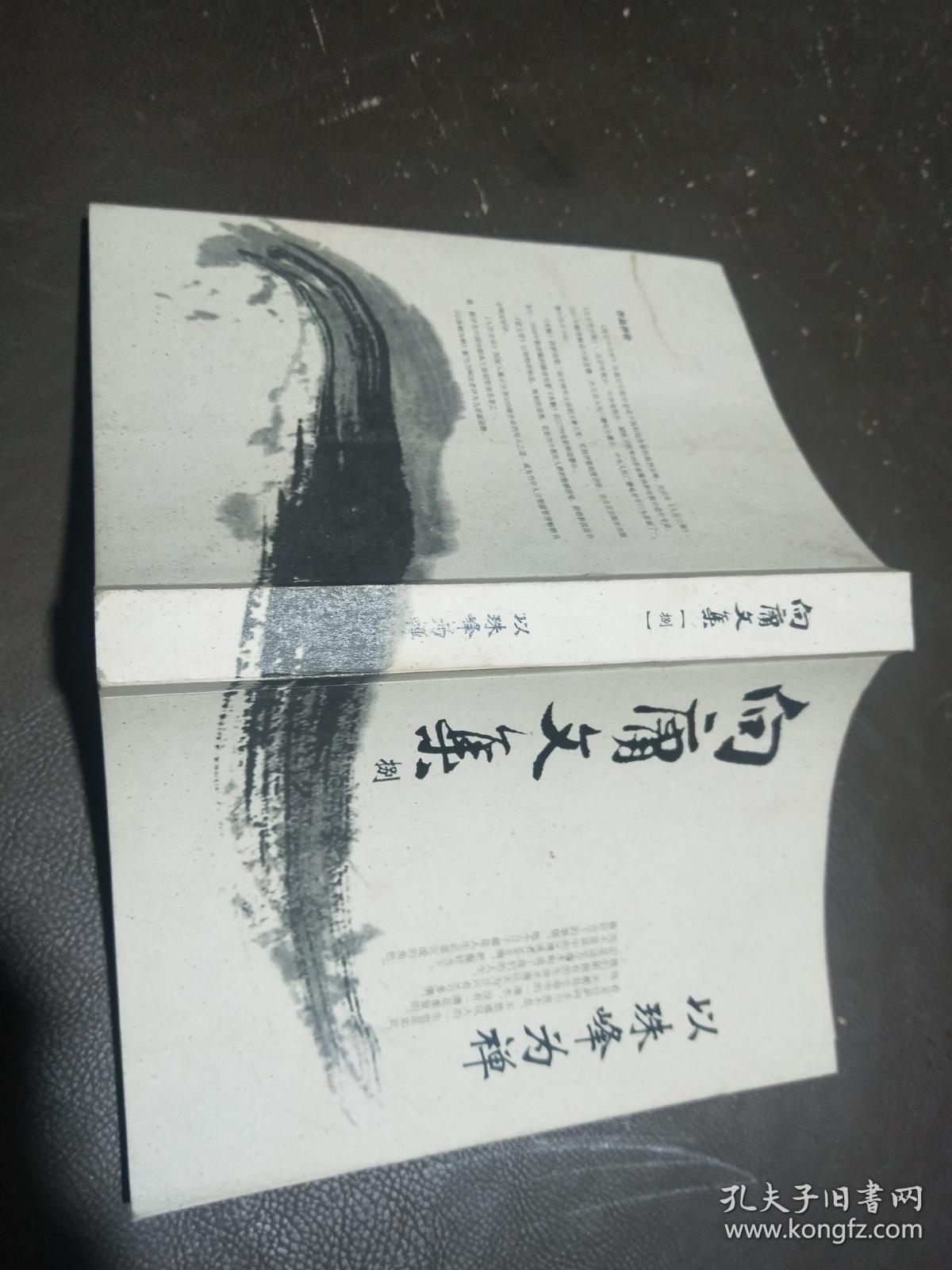 向庸文集八 以珠峰为禅