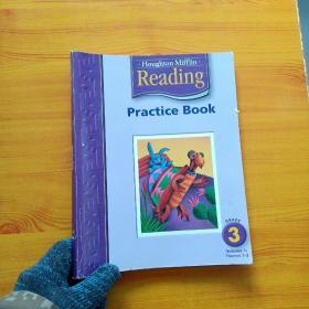 Houghton Mifflin Reading  Practice Book   GRADE 3  大16开【内页干净】