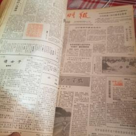 晚晴报合订本（1985.7.1-1986.12.30创刊 试刊号都有）