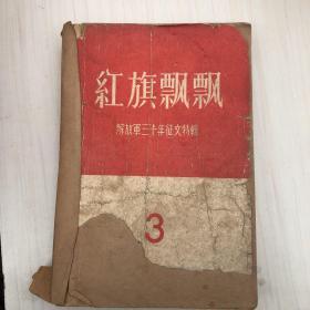 红旗飘飘——解放军三十年征文特辑