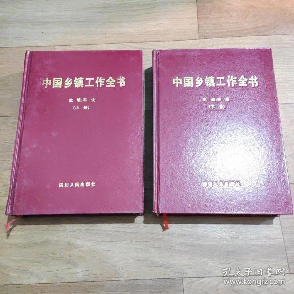精装中国乡镇工作全书，上下全2册。