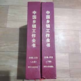 精装中国乡镇工作全书，上下全2册。
