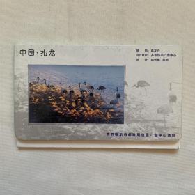中国扎龙 鹤 齐齐哈尔市邮政局 明信片一套六张