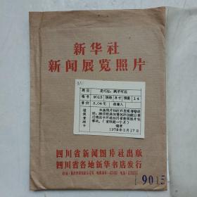 新华社新闻展览照片 是可忍 孰不可忍【14张全】