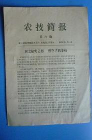 1976年4月《农技简报》（第六期】【临海县公社农科站培训大批技术骨干等】【台州地区农业局、农校等编】