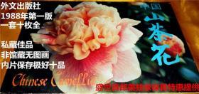 老明信片【中国山茶花 】1套10枚全 （私藏佳品！非馆藏无涂画.内片保存极好 ）