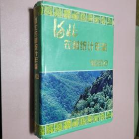 河北农村统计年鉴.1996