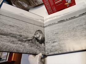 Evocative Africa