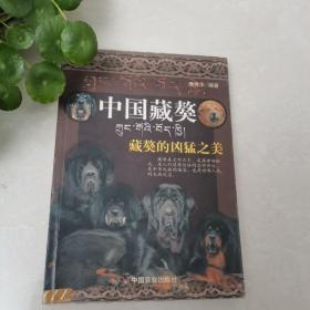 中国藏獒：藏獒的凶猛之美