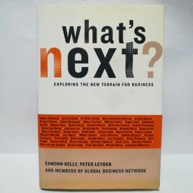 Whats Next?: Exploring the New Terrain for Business