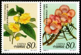 新中国邮票：2002-3T 中国-马来西亚联合发行：珍稀花卉邮票(全套两枚连票，金花茶、炮弹花)