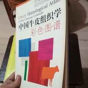 中国牛皮组织学彩色图谱